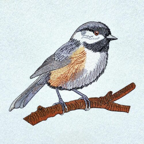 cute-chikadee