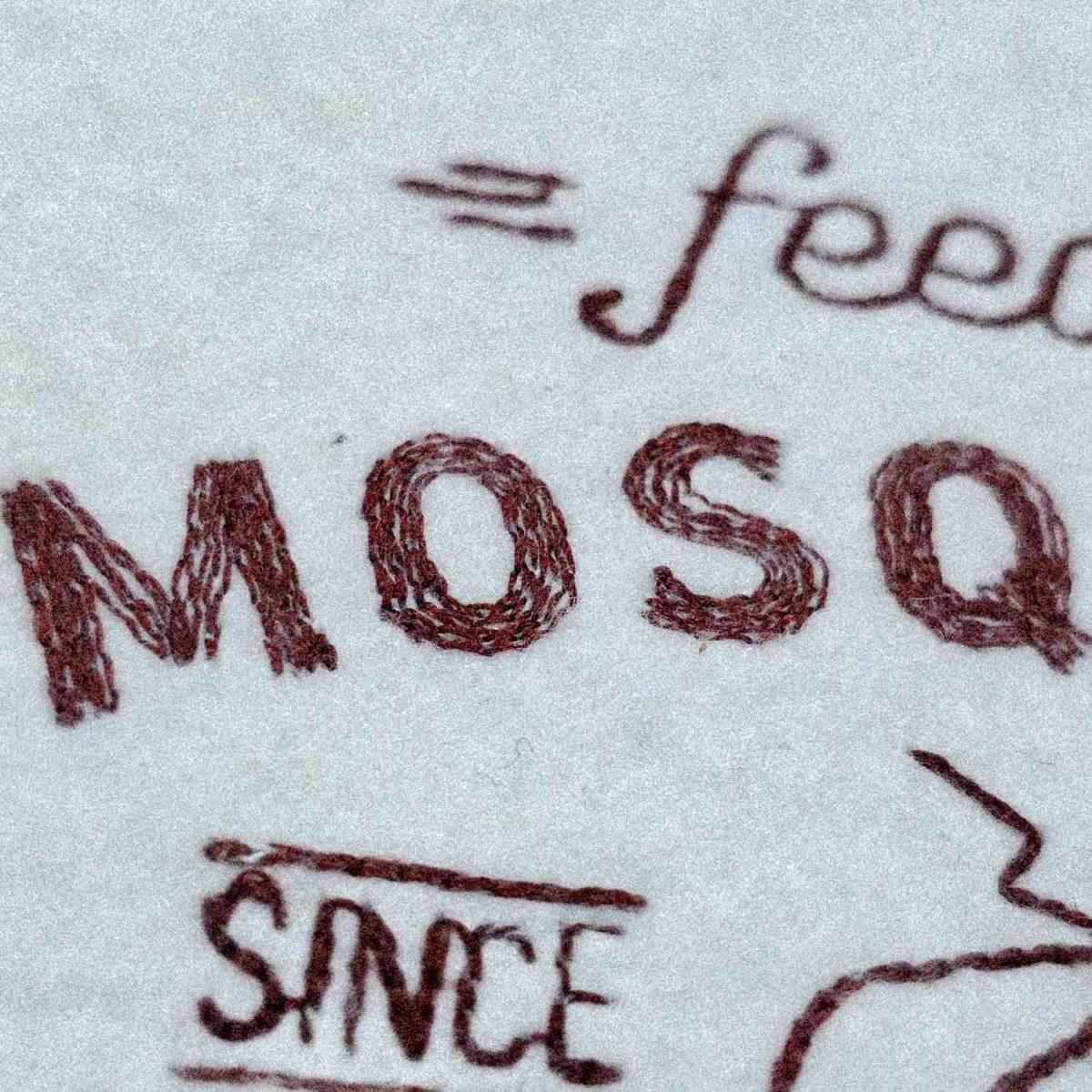 feeding-mosquitos-funny-pun-embroidery-design