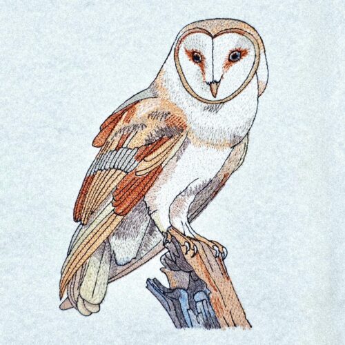 gentle-barn-owl