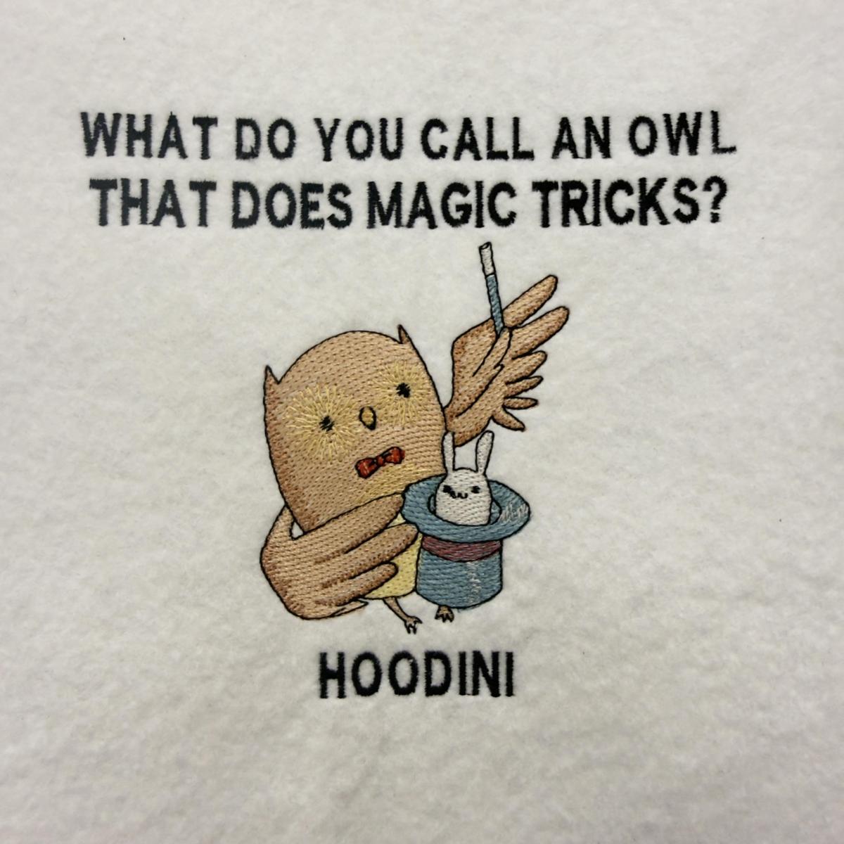 hoodini-the-owl-funny-pun