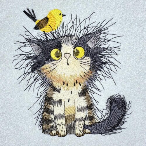 morning-cat-and-bird