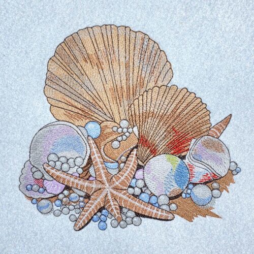 treasures-of-the-seashore