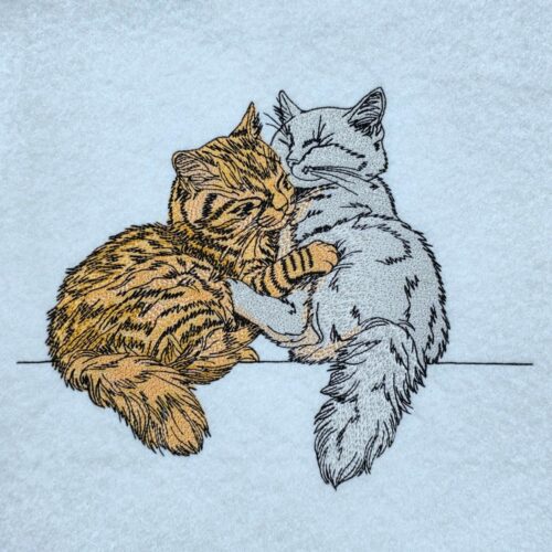 cozy-cats-embrace