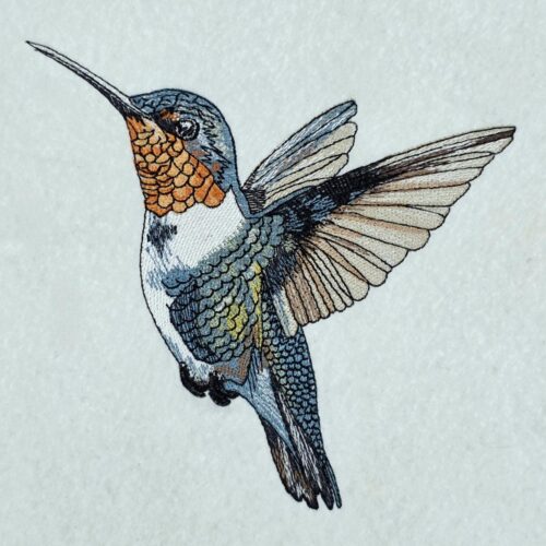 hummingbird-design