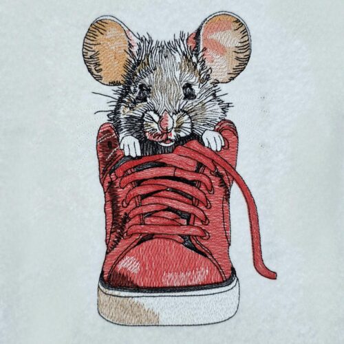 mouse-in-a-shoe