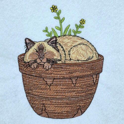 sleeping-cat-in-flower-pot