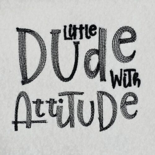 Dude-With-Attitude-Quote