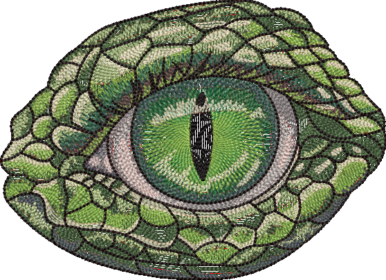 FE05898---Fantasy-Dragon-Eye