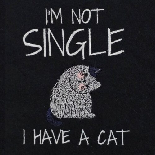 I-Have-a-Cat-Funny-Quote