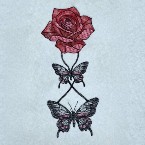butterfly-embrace-around-the-rose