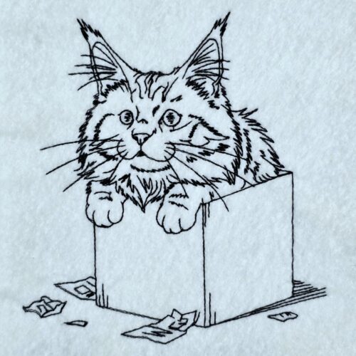 fluffy-cat-in-box-line-art