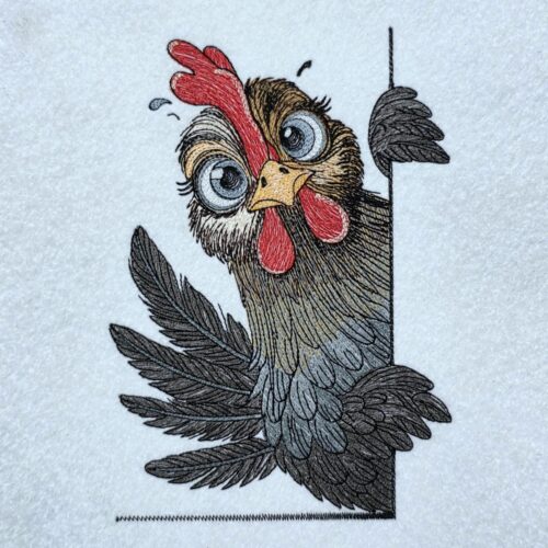 peeking-farm-chicken