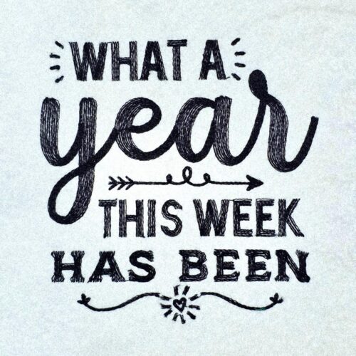 what-a-year-funny-quote