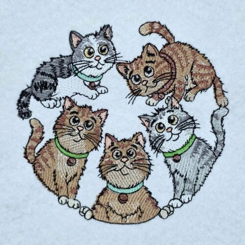 cute-cats-gathering