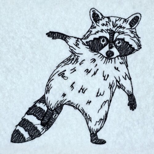 playful-raccoon-pose