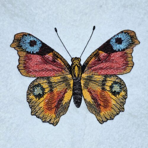 spring-meadow-butterfly