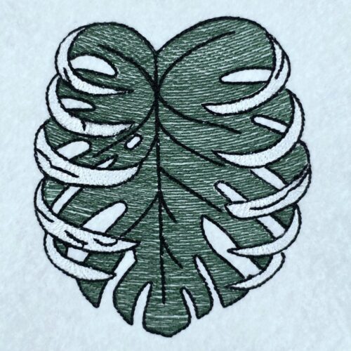 green-monstera-leaf