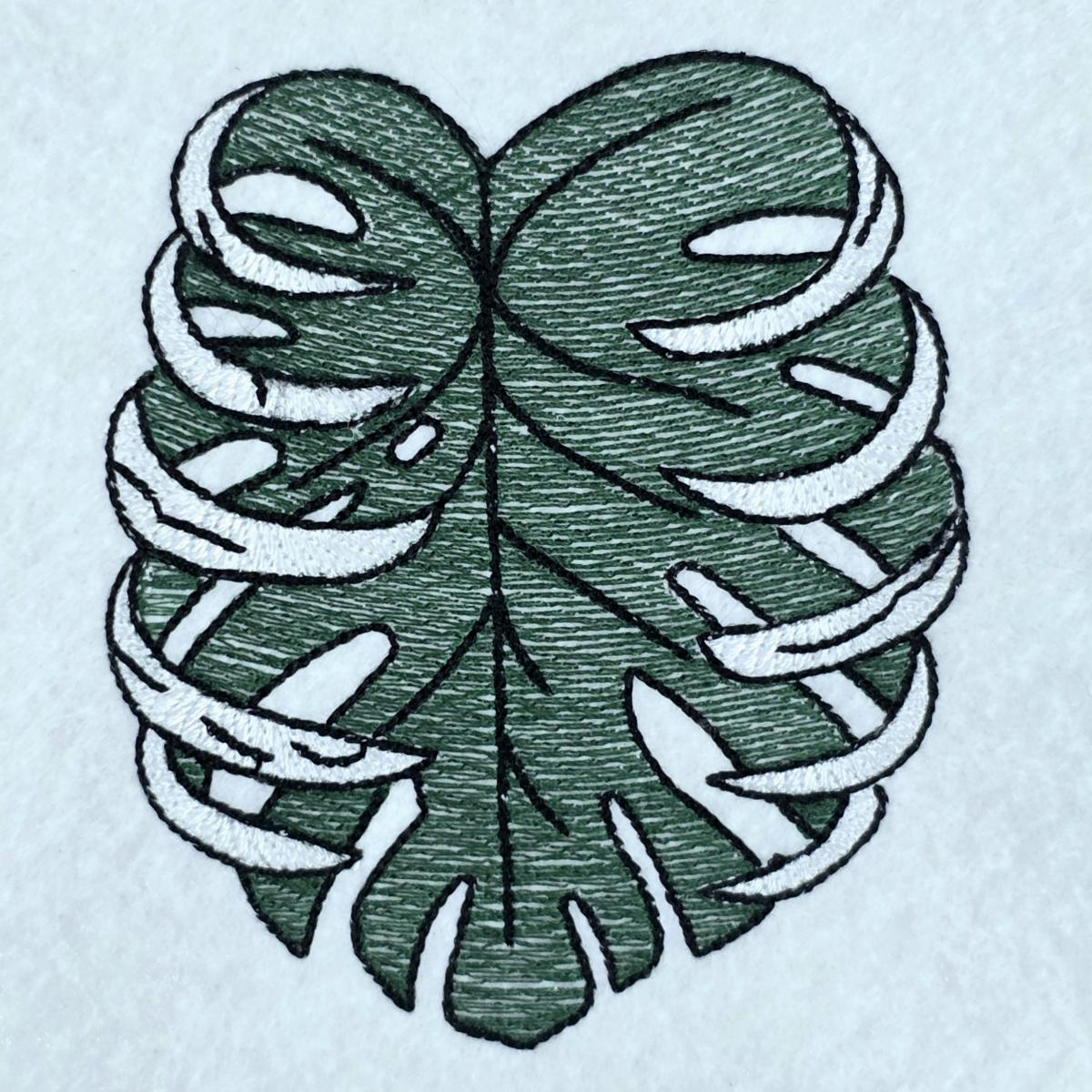 green-monstera-leaf