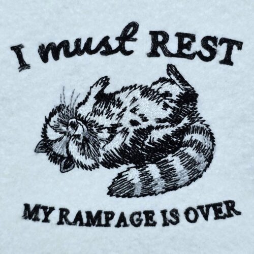 resting-raccoon-funny-quote