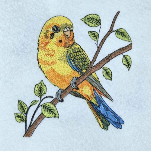 tropical-parrot-perch