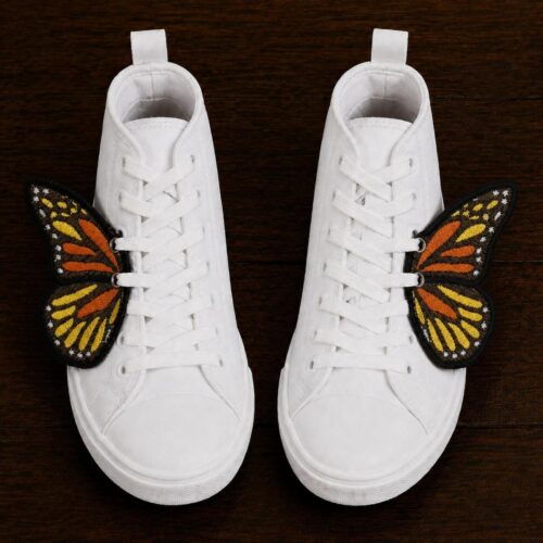 autumn-butterfly-ith-shoe-wing