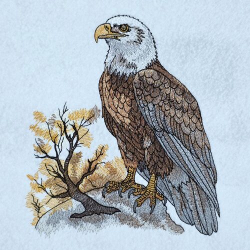 majestic-eagle-with-tree