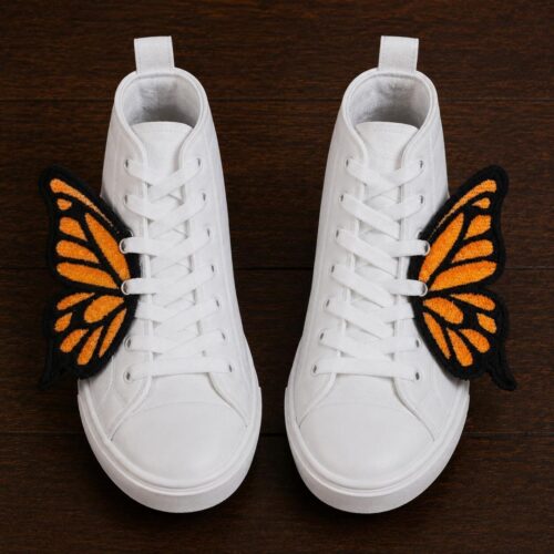 monarch-butterfly-ith-shoe-wing