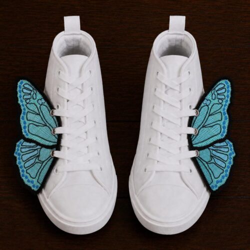 morpho-butterfly-ith-shoe-wing