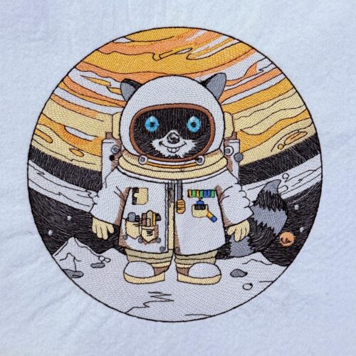 raccoons-space-adventure