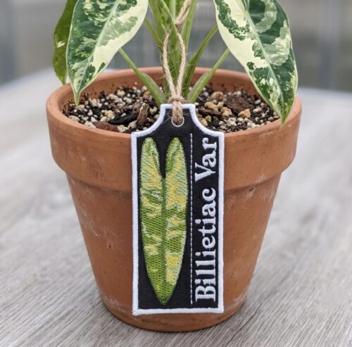 billietiac-var-ith-plant-tag