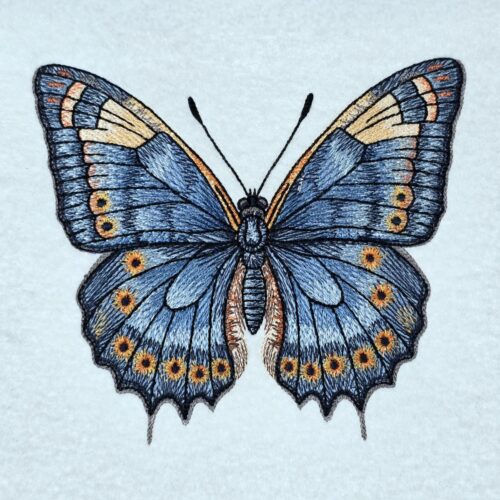 blue-morpho-butterfly