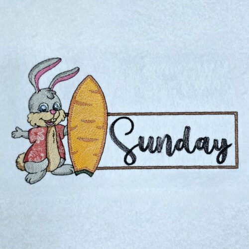 bunny-with-surfboard-sunday