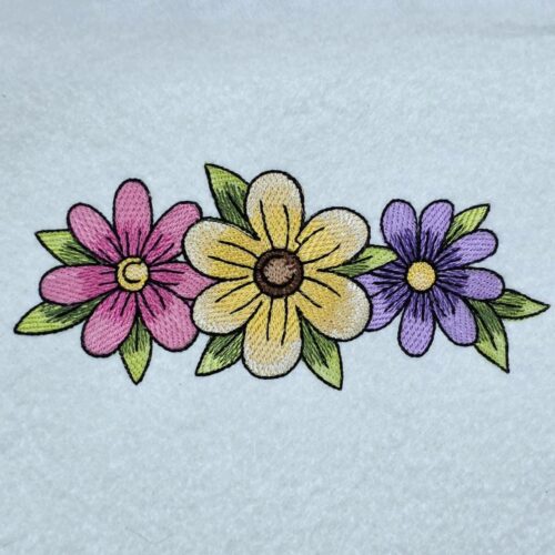 colorful-daisy-flowers