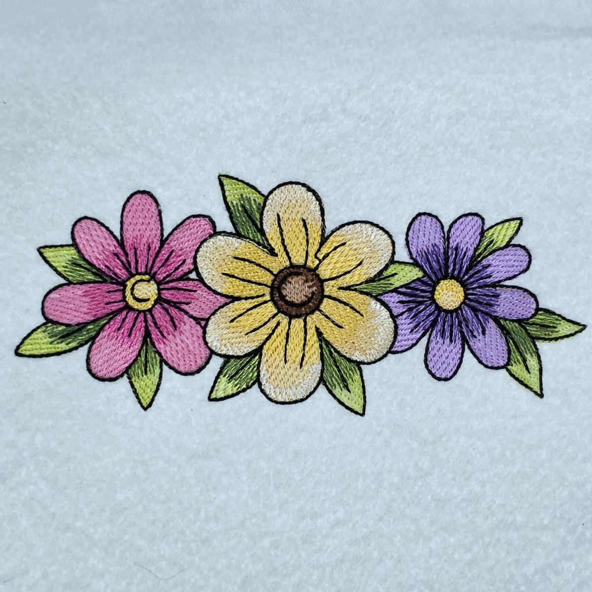 colorful-daisy-flowers
