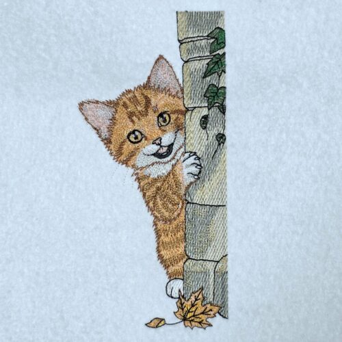curious-tabby-peeking-cat