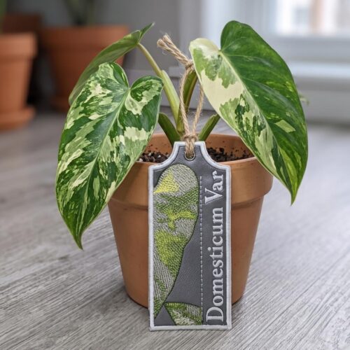 domesticum-var-ith-plant-tag
