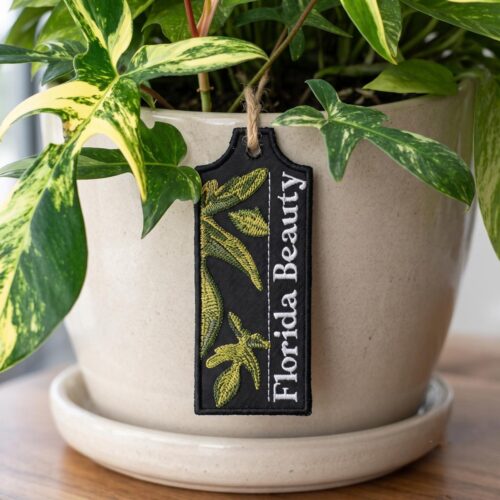florida-beauty-ith-plant-tag