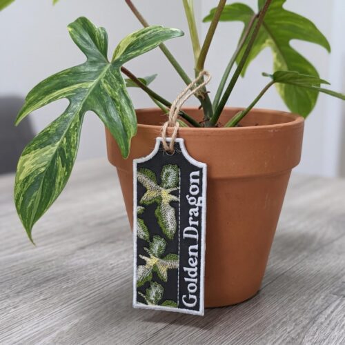 golden-dragon-ith-plant-tag