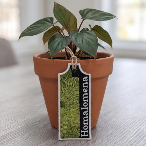 homalomena-ith-plant-tag