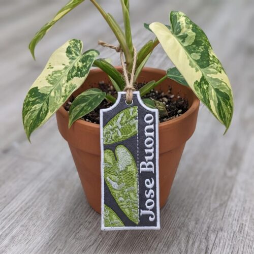 jose-buono-ith-plant-tag