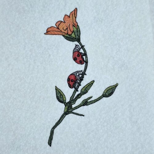 ladybug-on-flower-stem