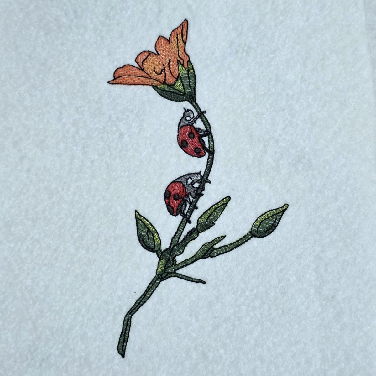 ladybug-on-flower-stem
