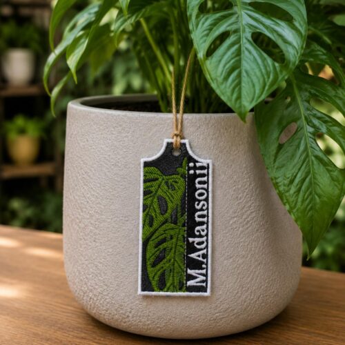 m-adansonii-ith-plant-tag