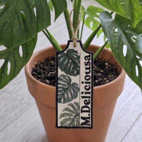 m-deliciousa-ith-plant-tag