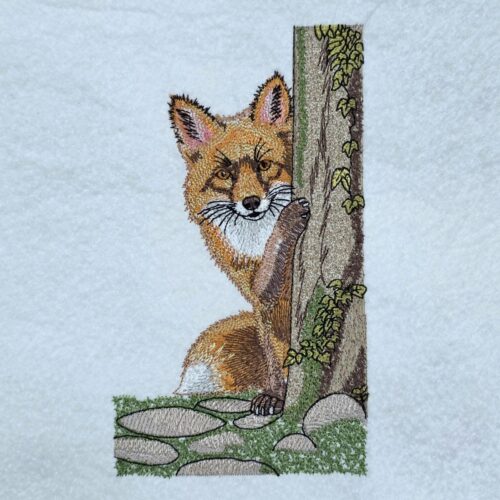 nosy-peeking-red-fox