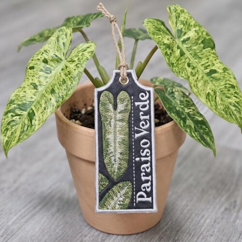 paraiso-verde-ith-plant-tag