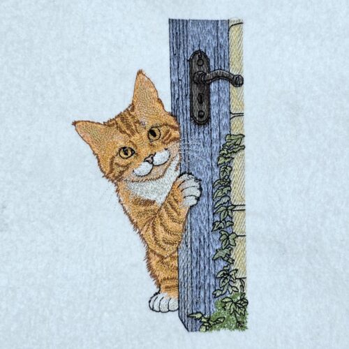 playful-ginger-peeking-cat