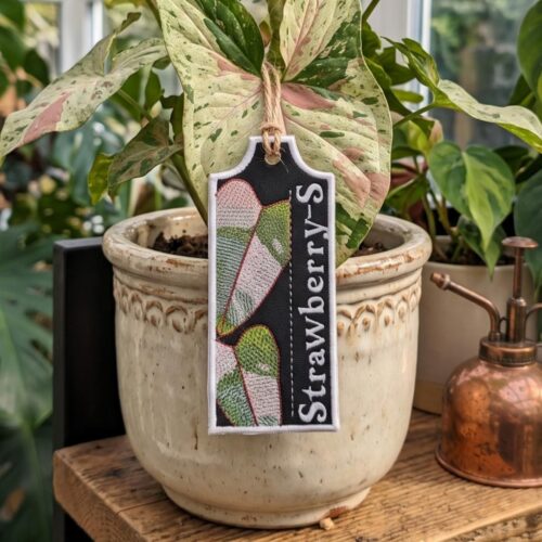 strawberry-s-ith-plant-tag