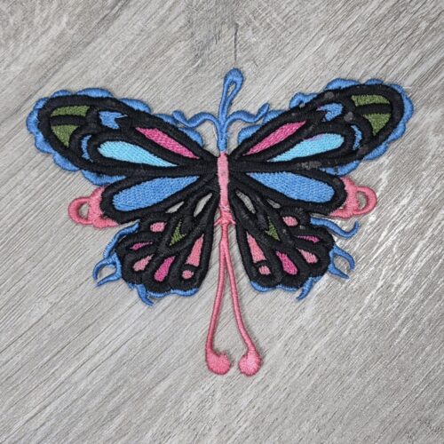 colorful-butterfly-fsl