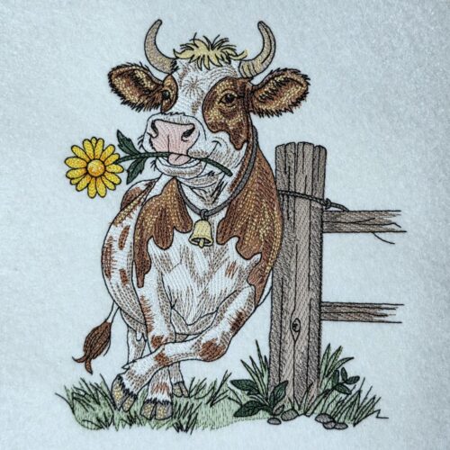 daisy-munching-cowgirl